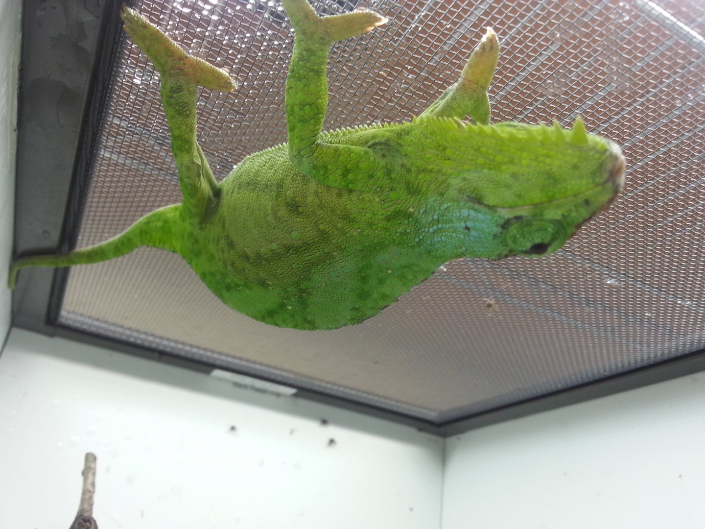 20160825_185853.jpg