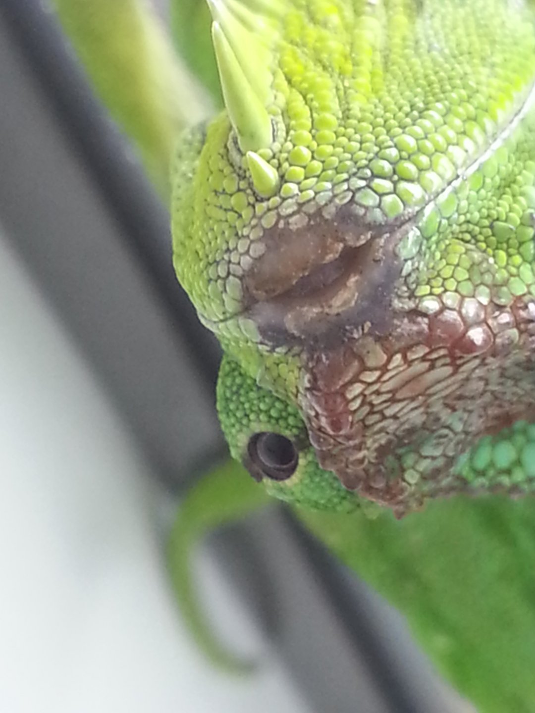 20160825_185909.jpg