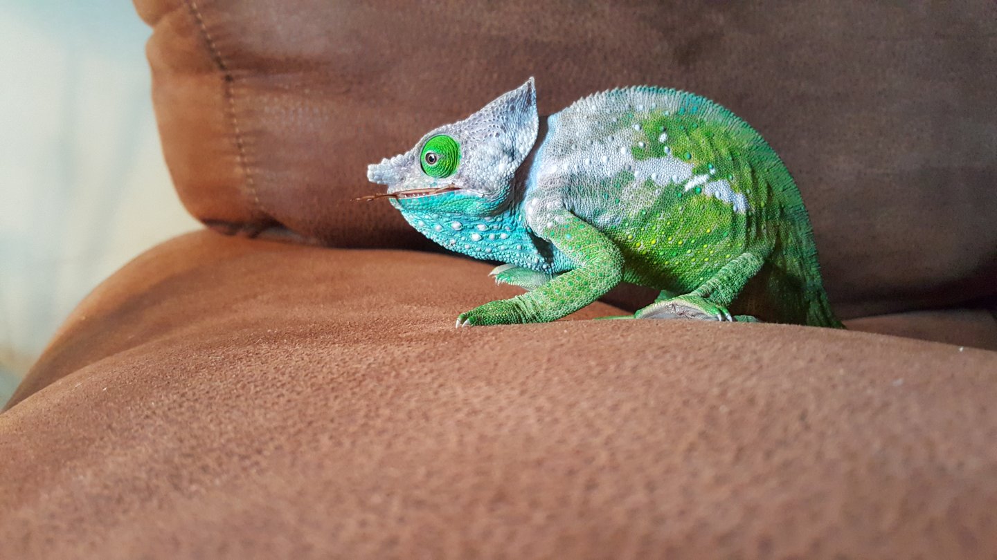 20160826_150805.jpg