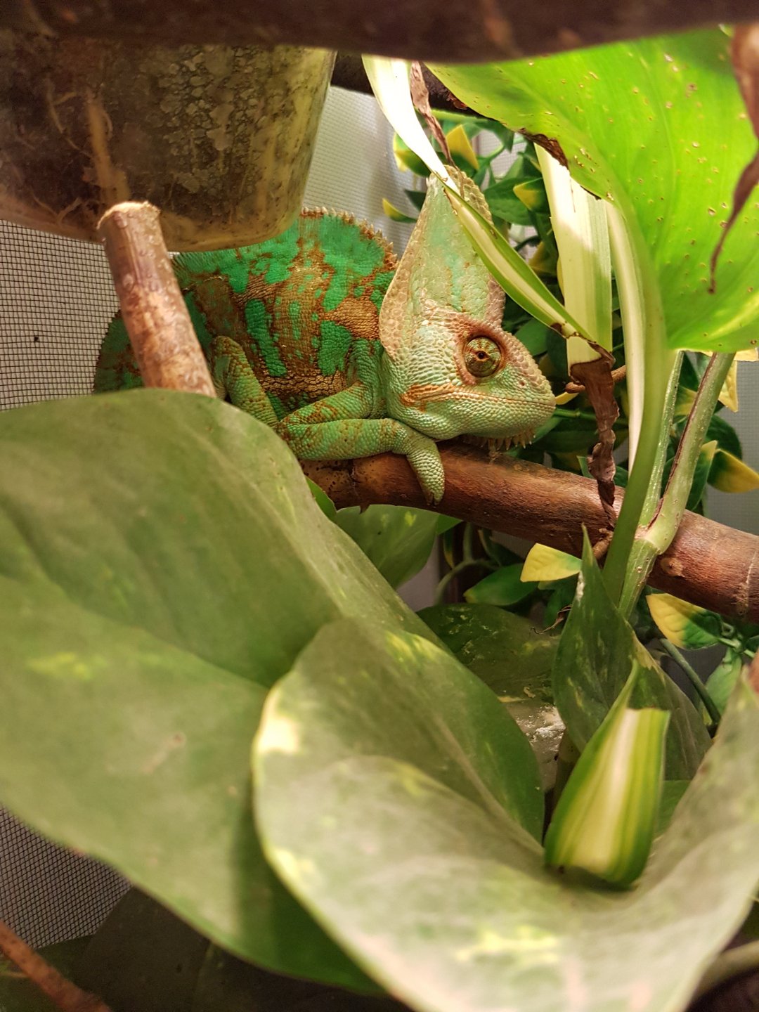 20160826_202242.jpg