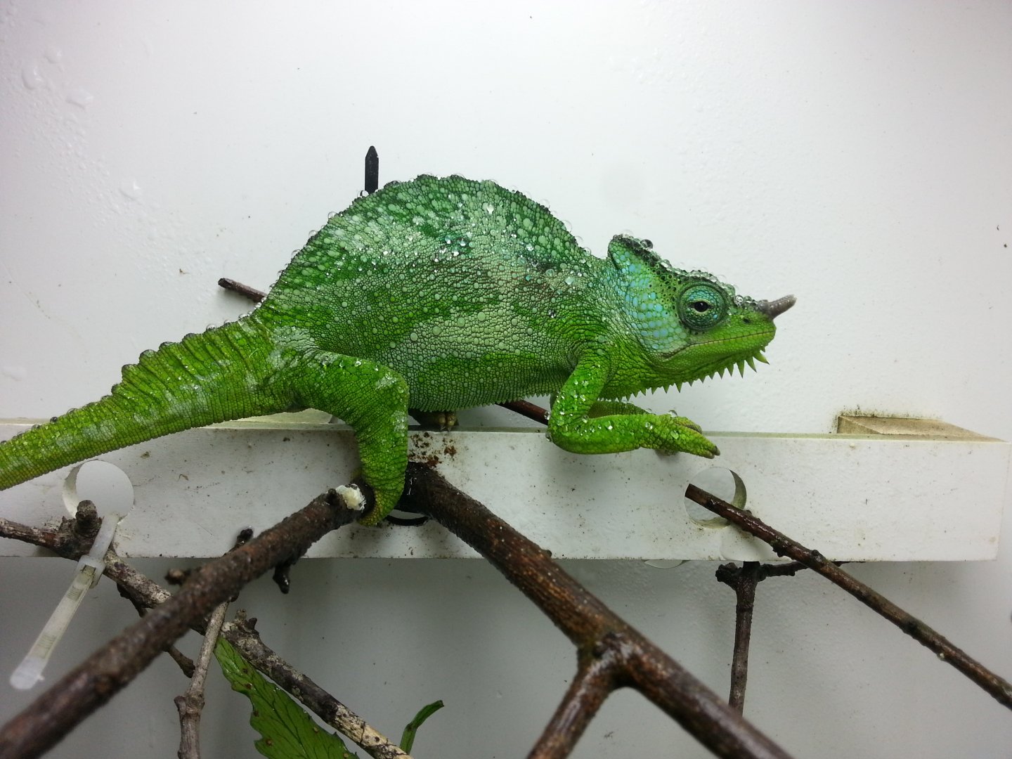 20160827_150716.jpg