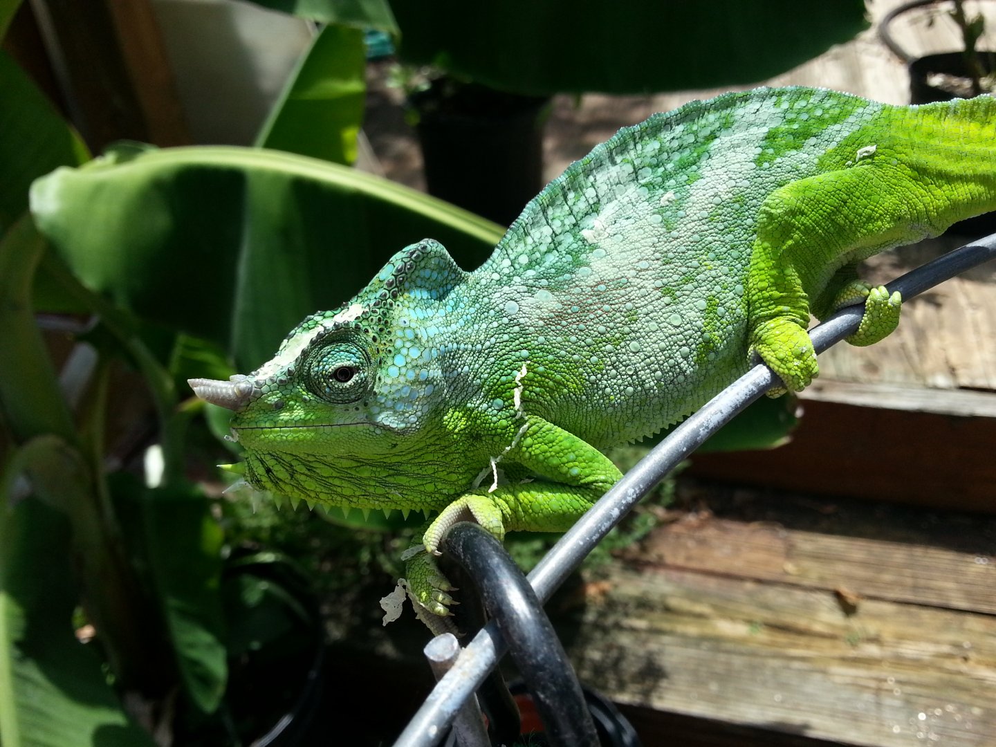 20160829_141853.jpg