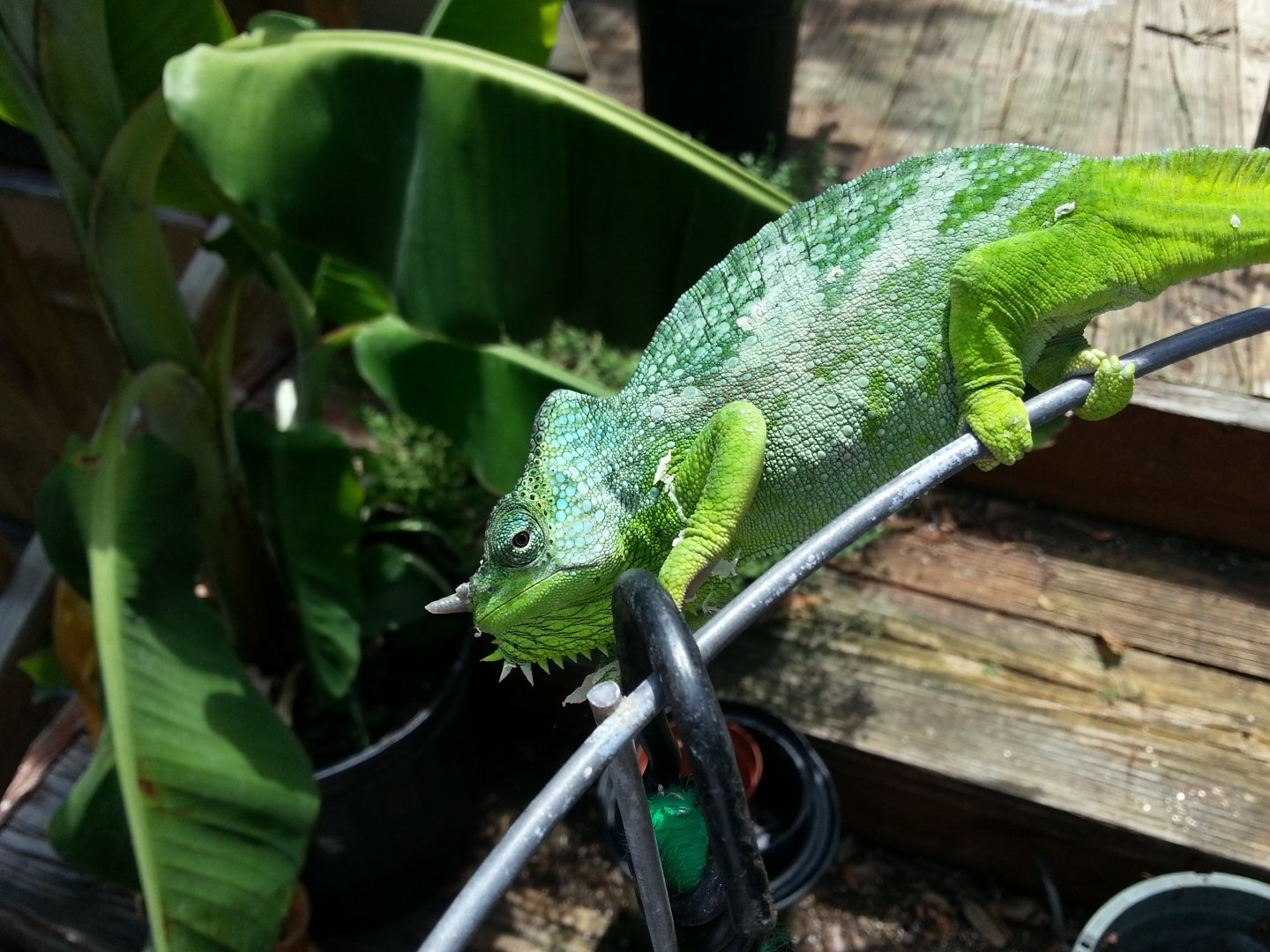 20160829_141857.jpg