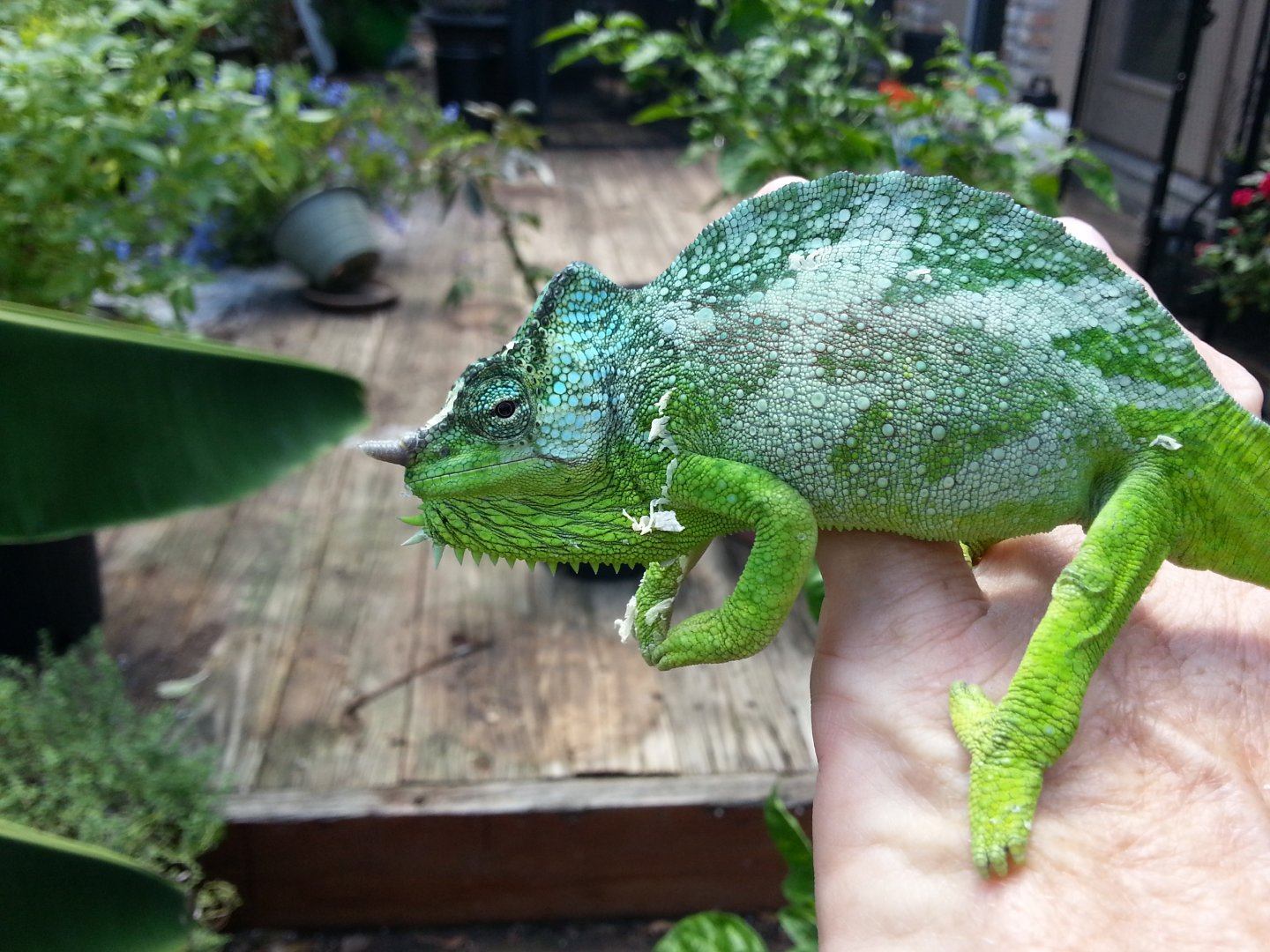 20160829_141919.jpg