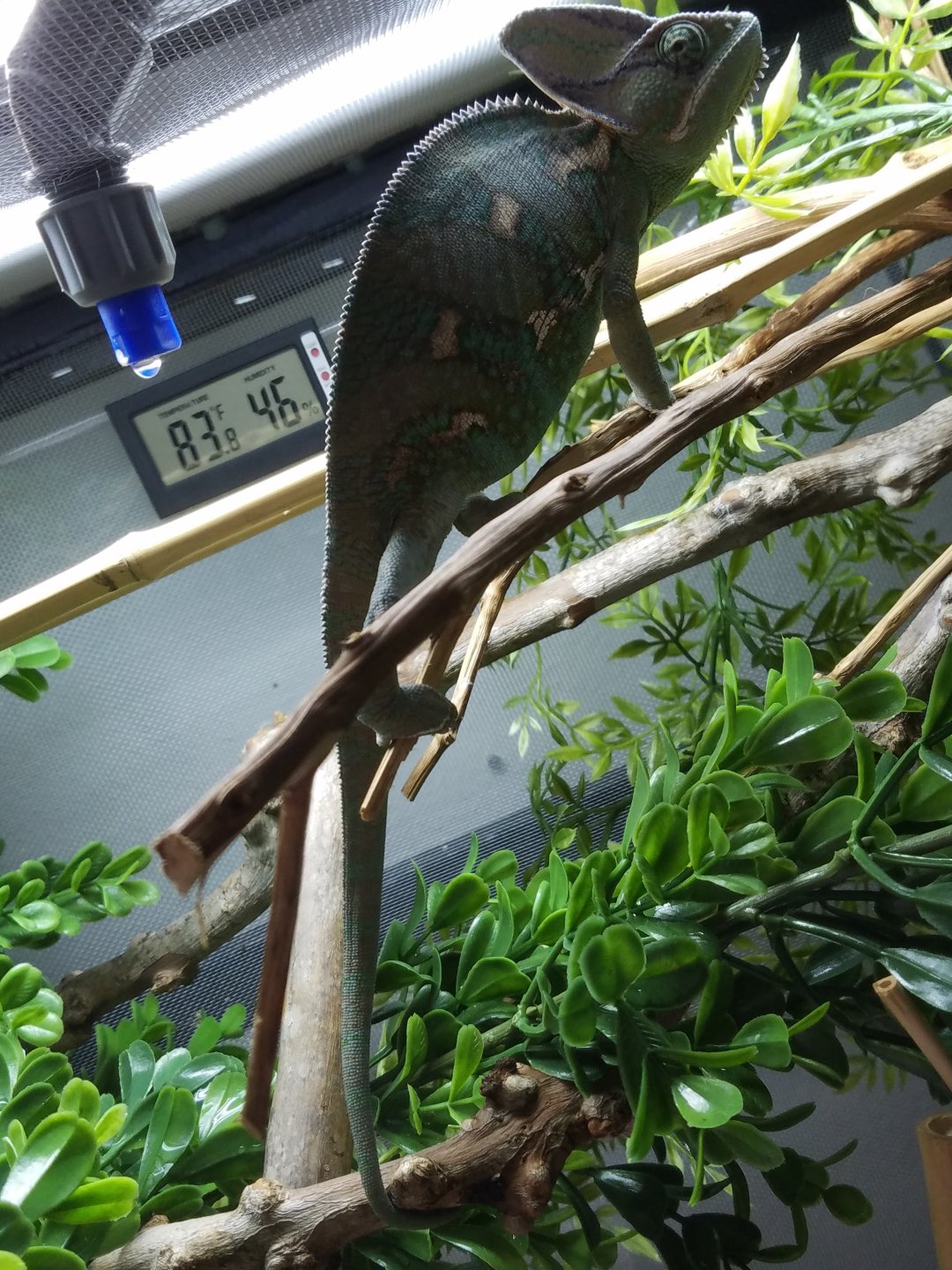 20160912_142821.jpg