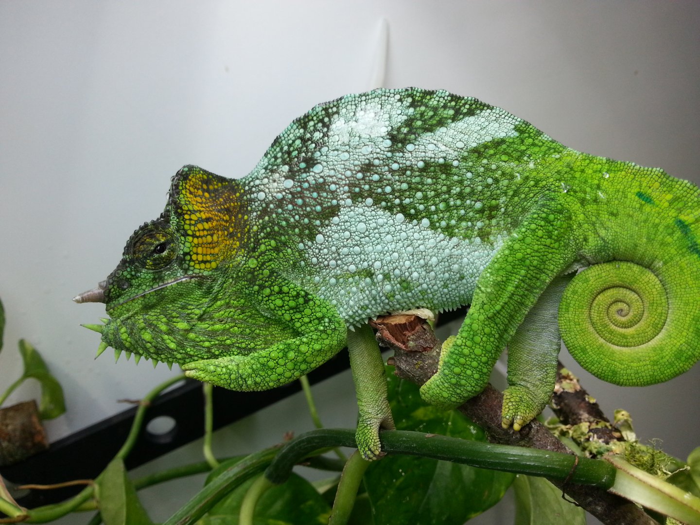 20160912_163627.jpg