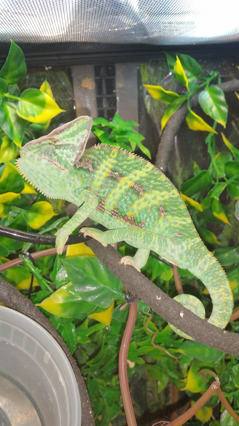 20160921_140333.jpg