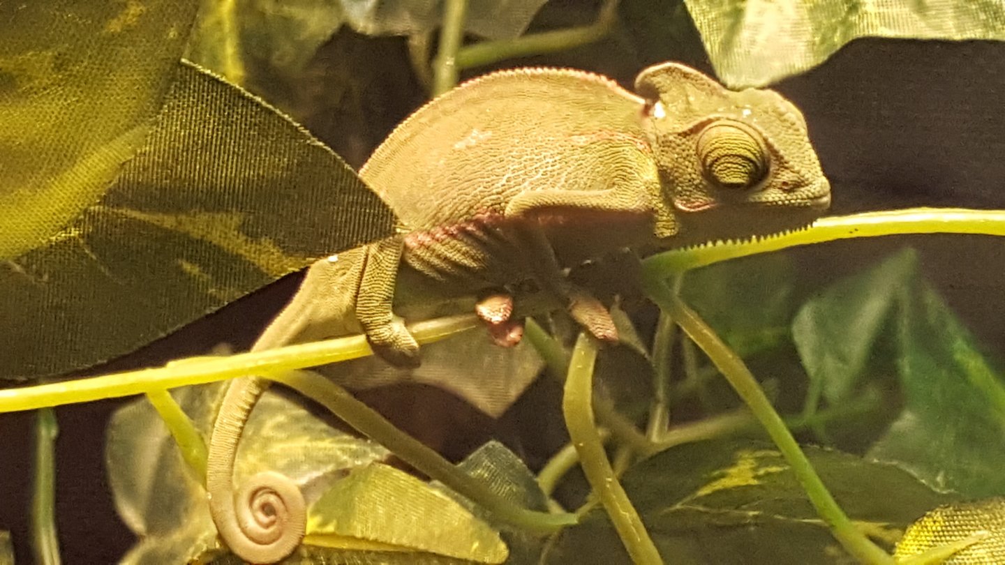 20160922_184255.jpg