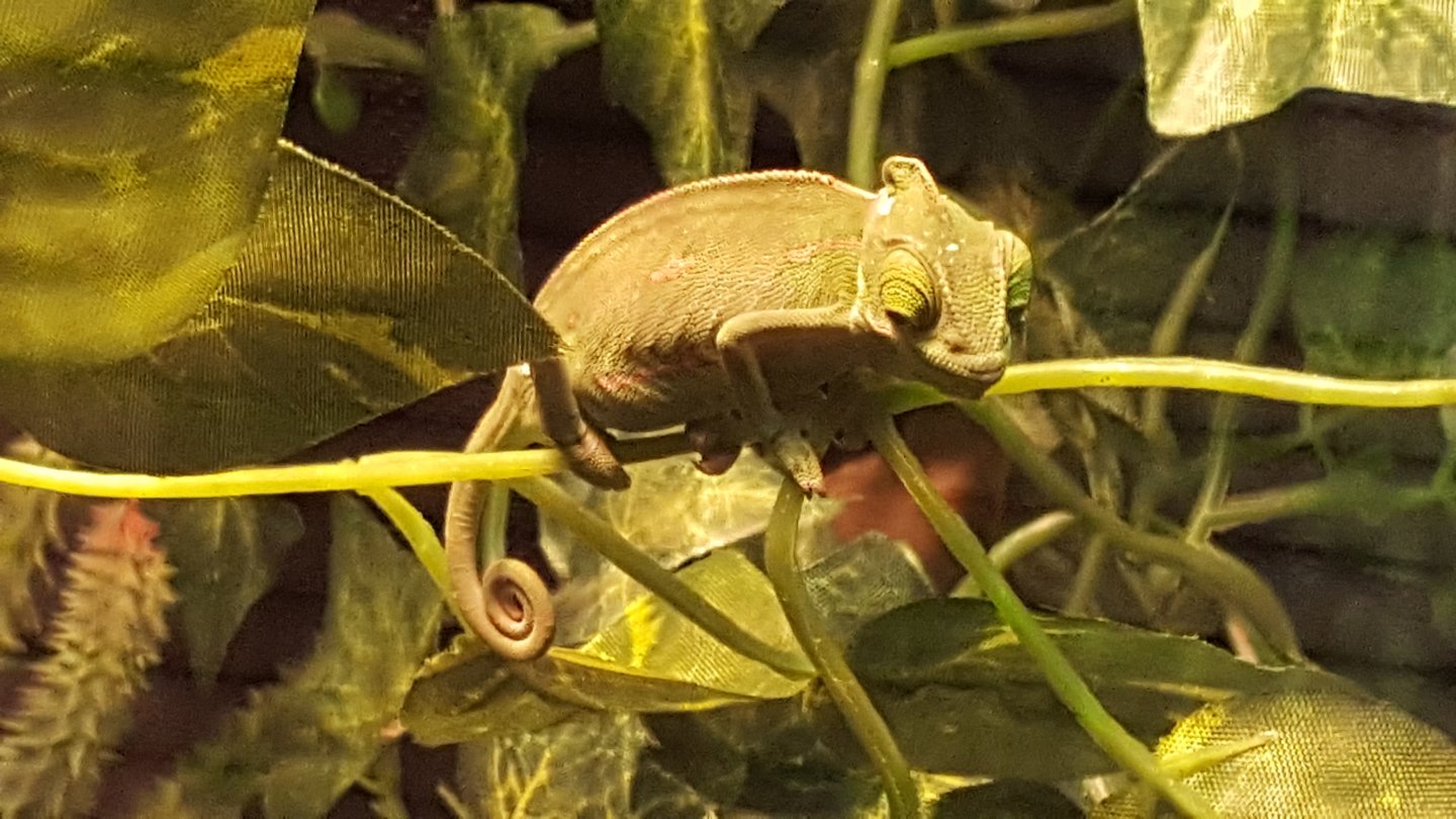 20160922_184332.jpg