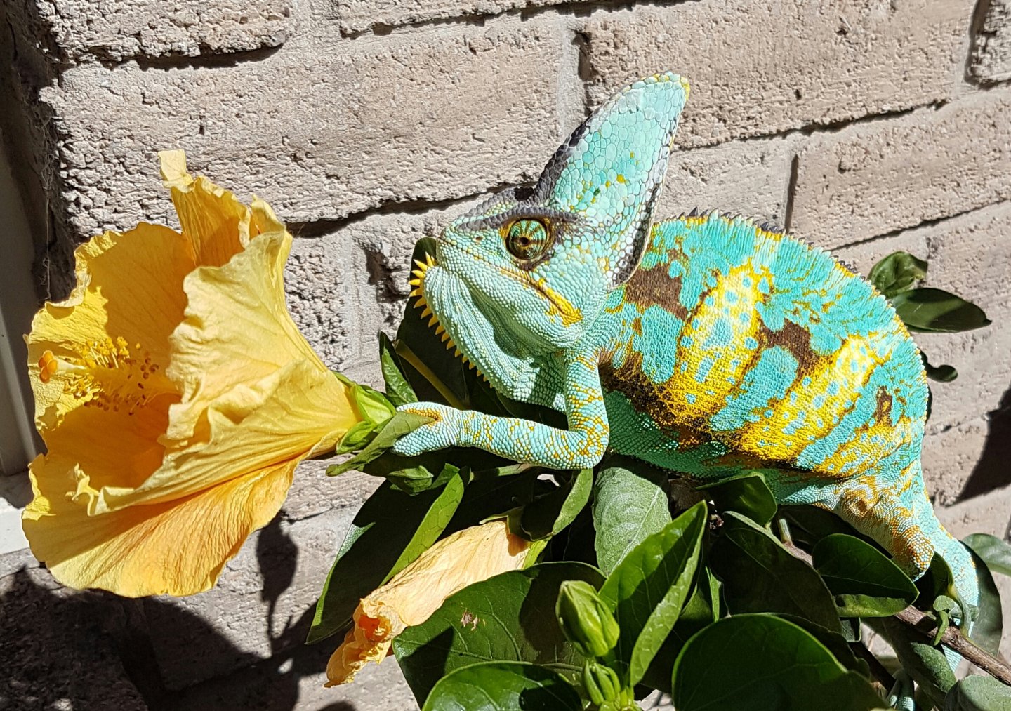 20160924_145251.jpg
