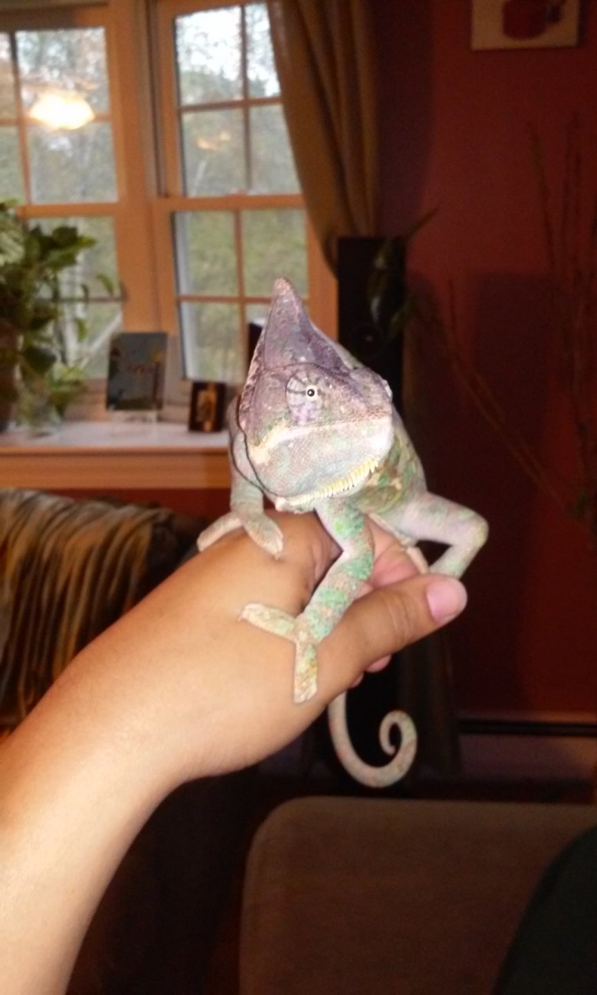 20160930_154353.jpg