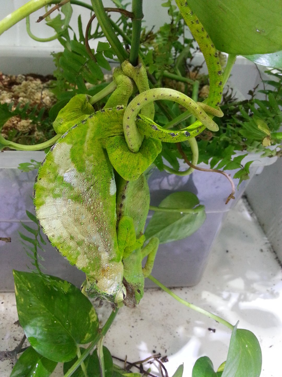 20161006_150141.jpg