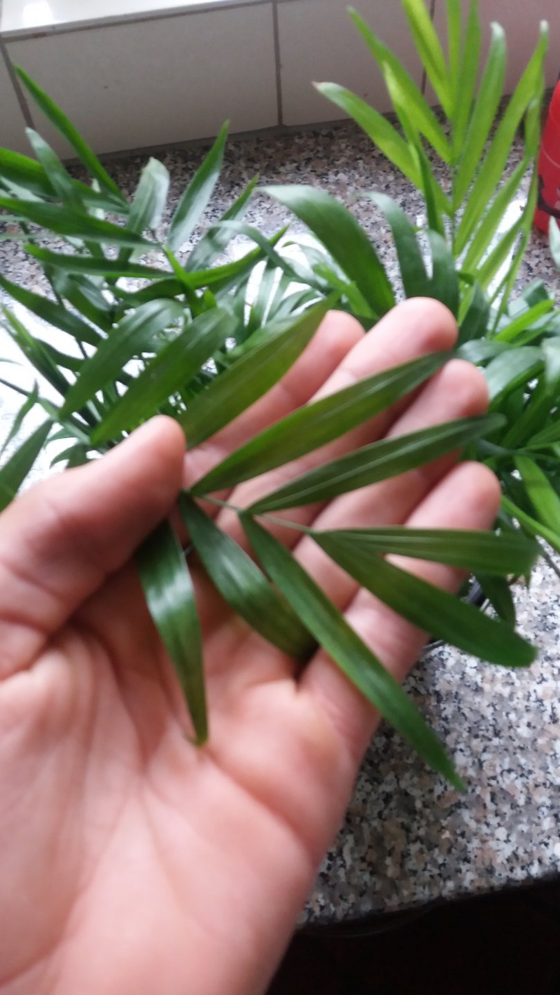 20161007_133747.jpg