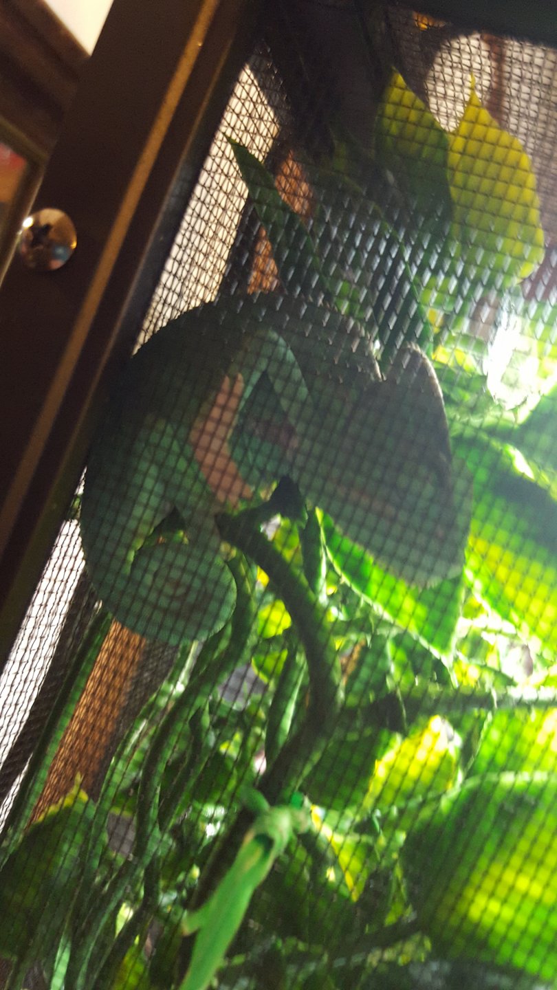 20161025_213245.jpg