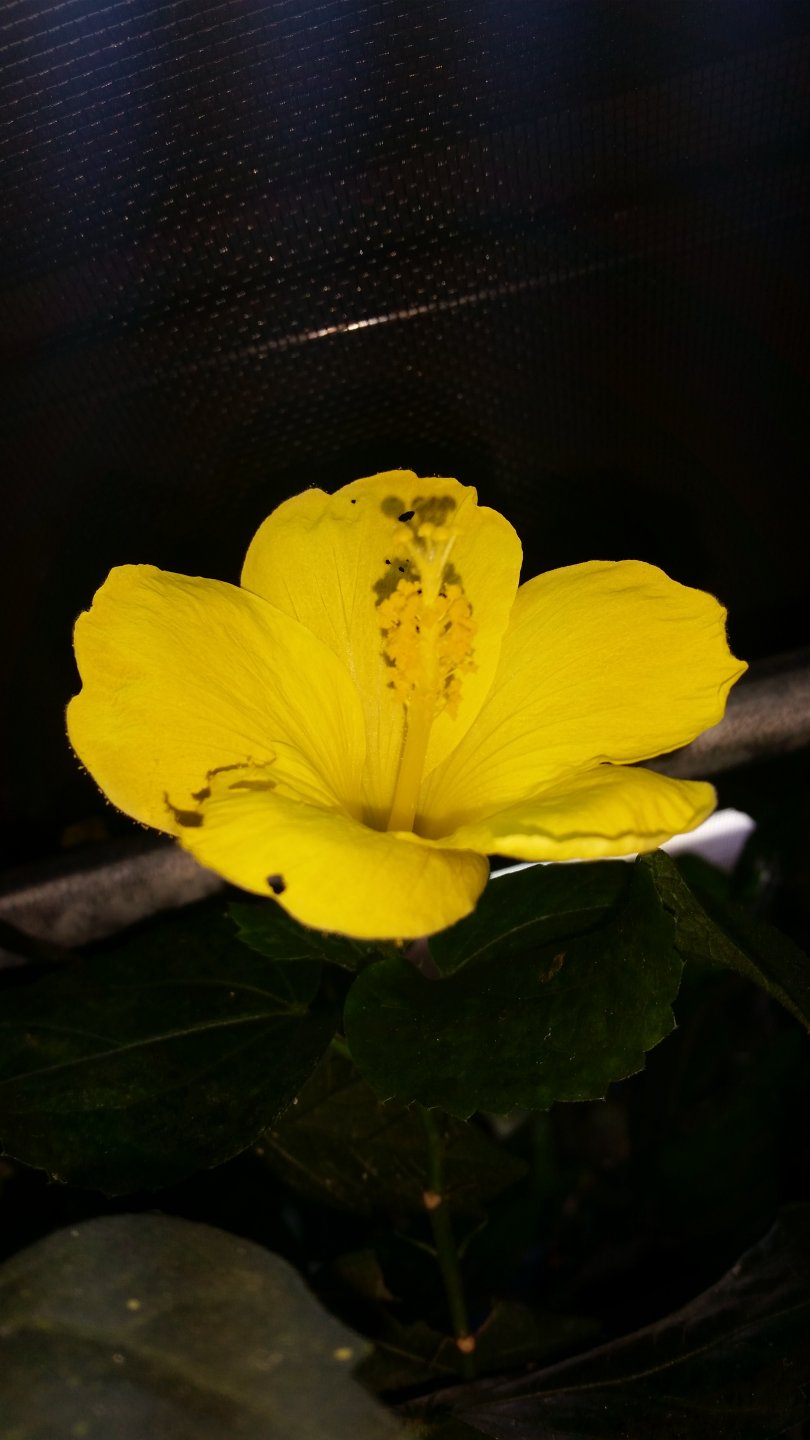 20161102_122731.jpg