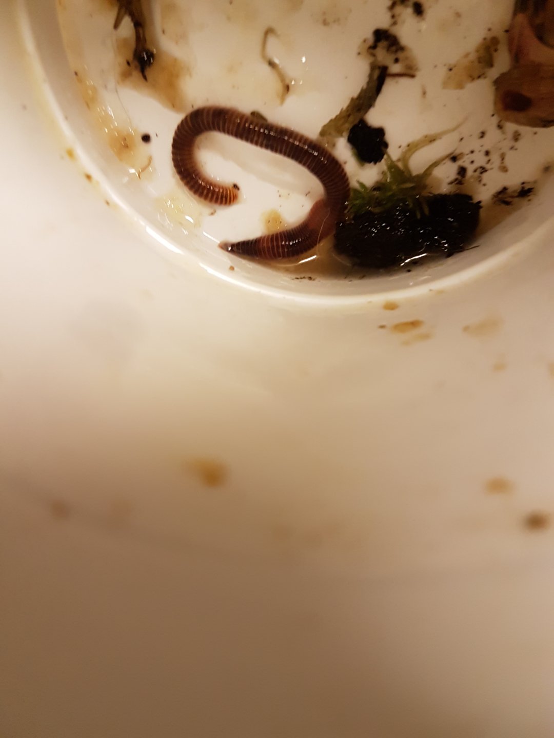 20161113_225612.jpg