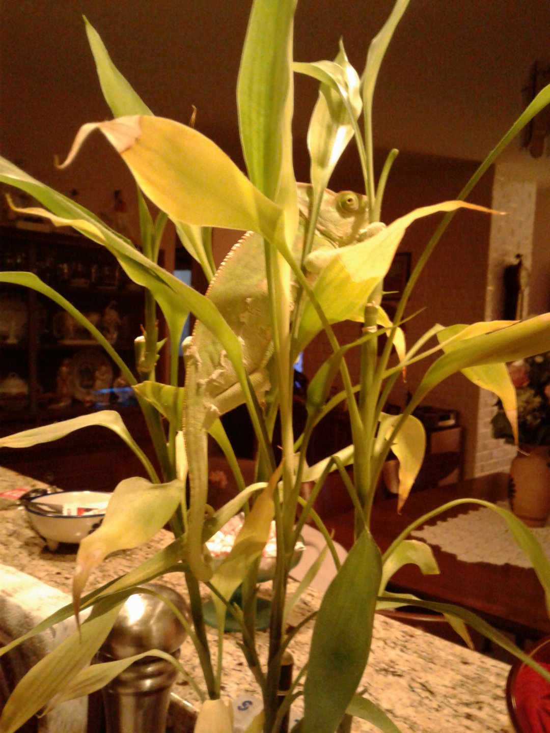 20161116_165315.jpg