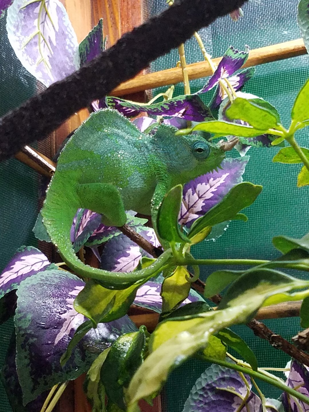 20161204_113559.jpg