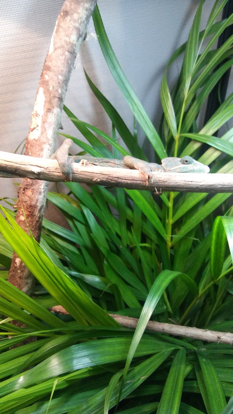 20161209_204859.jpg