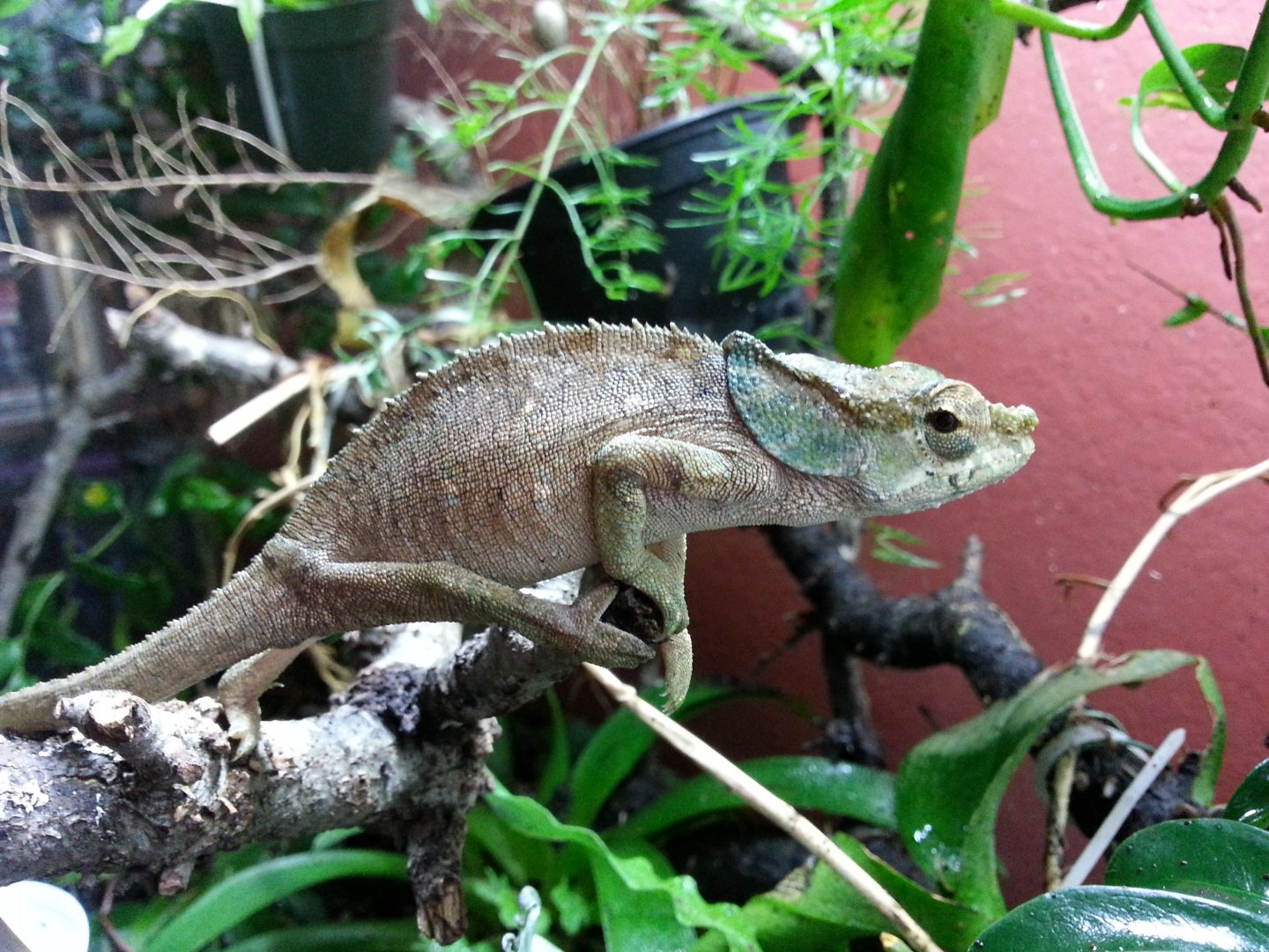 20161226_151614.jpg