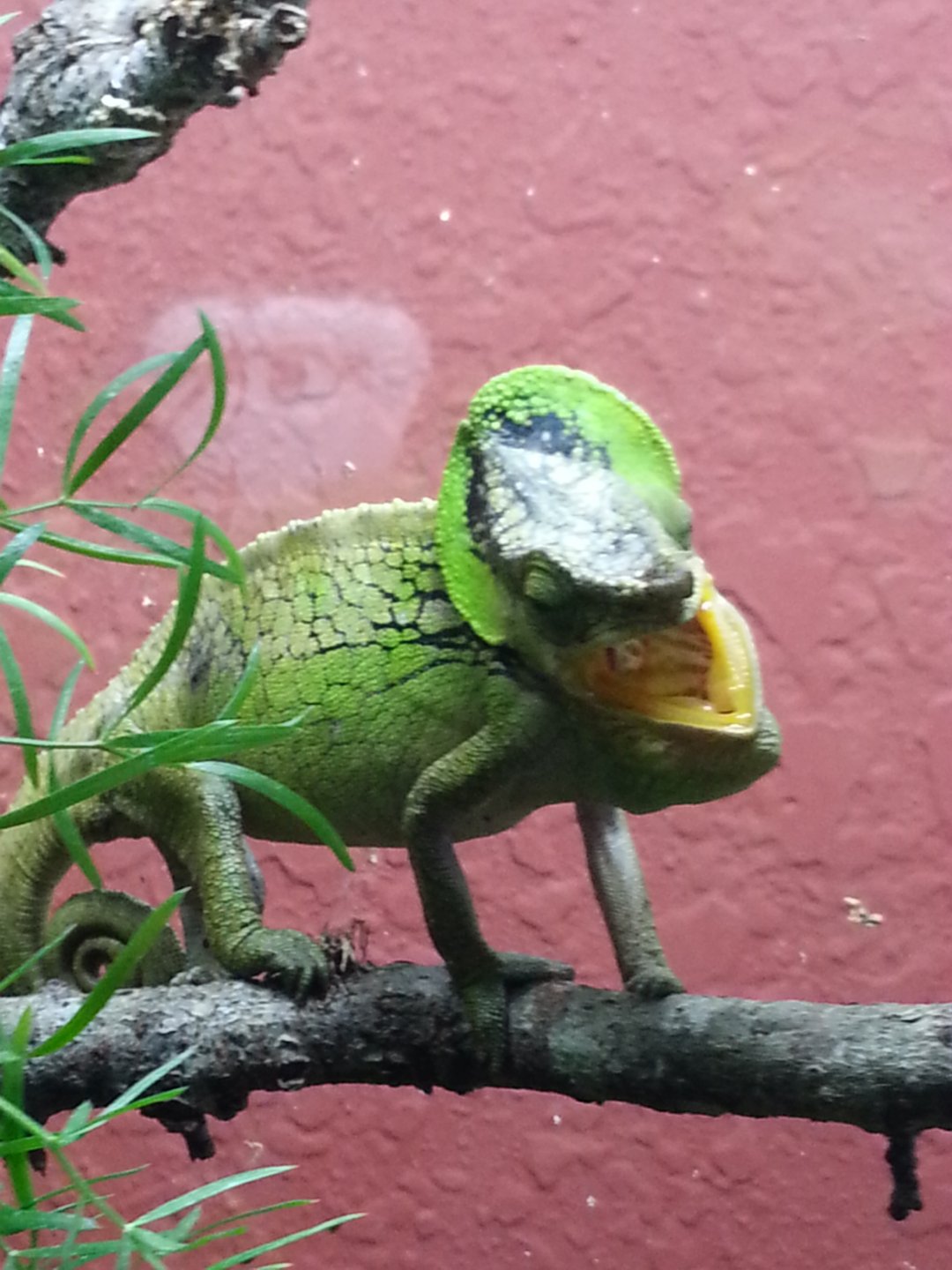 20161226_181211.jpg
