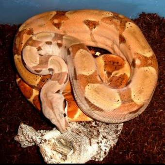 2017-07-07 15.44.59-1.png