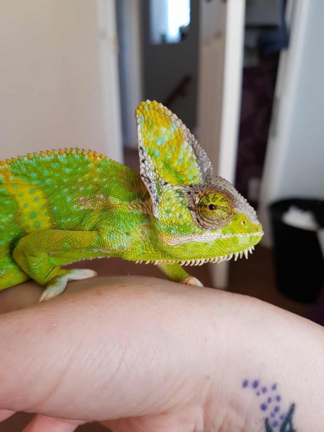 2017-08-15 18.50.09.jpg