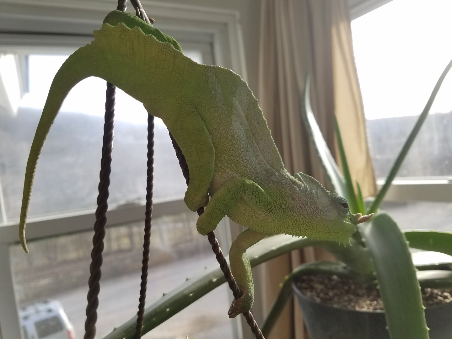 20170113_145953.jpg