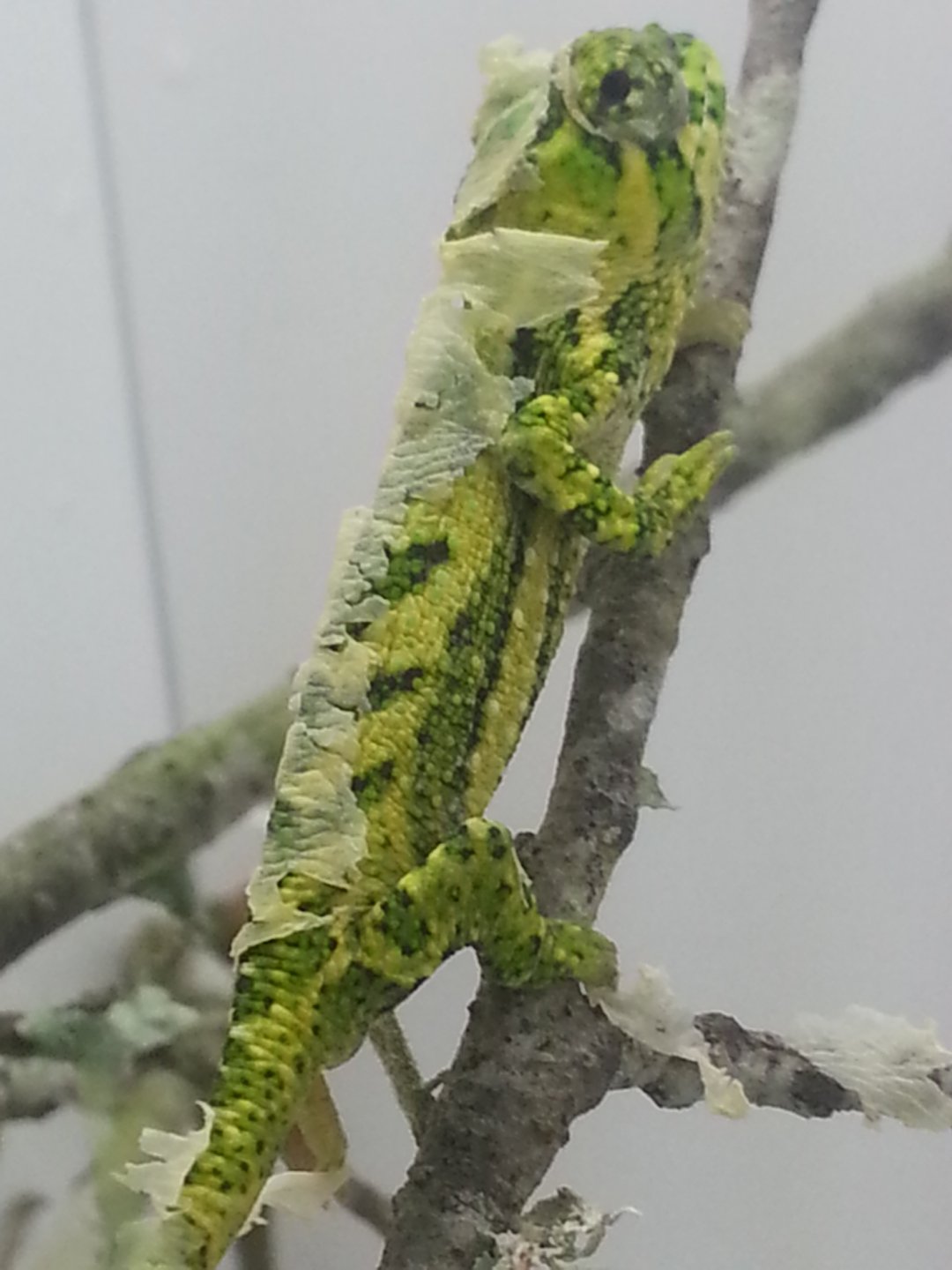 20170115_103541.jpg