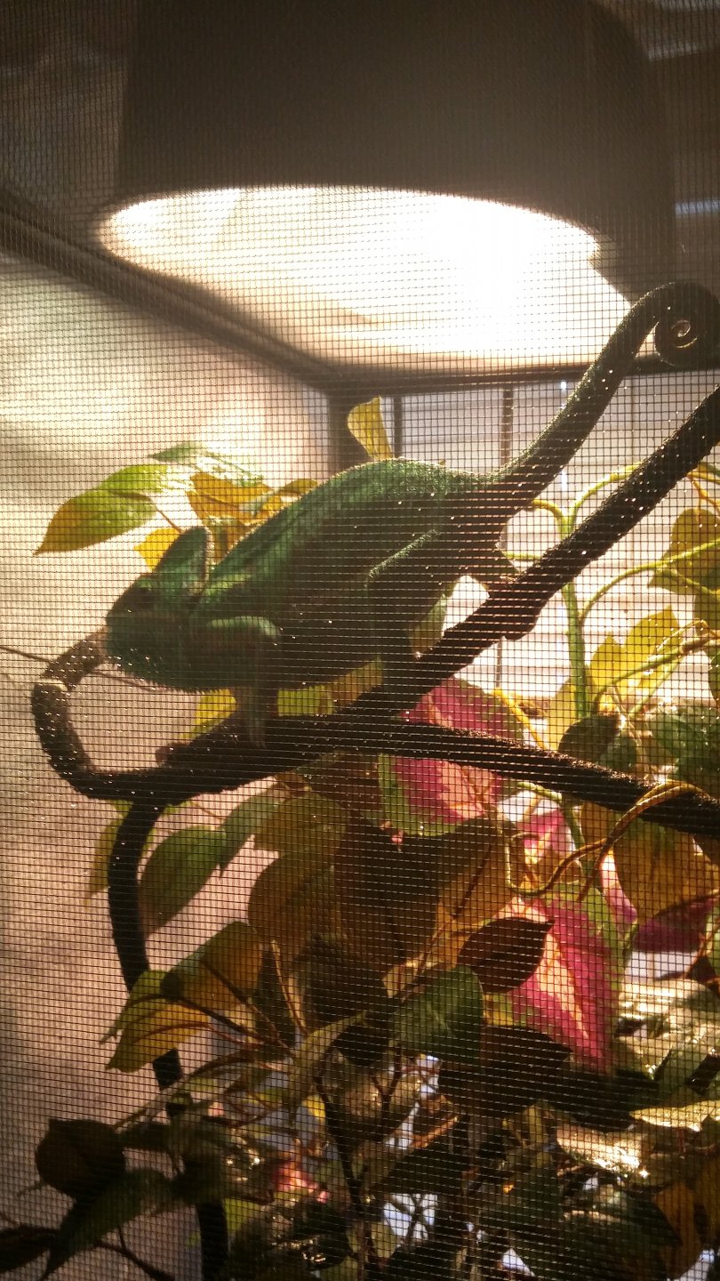 20170118_112318_HDR.jpg