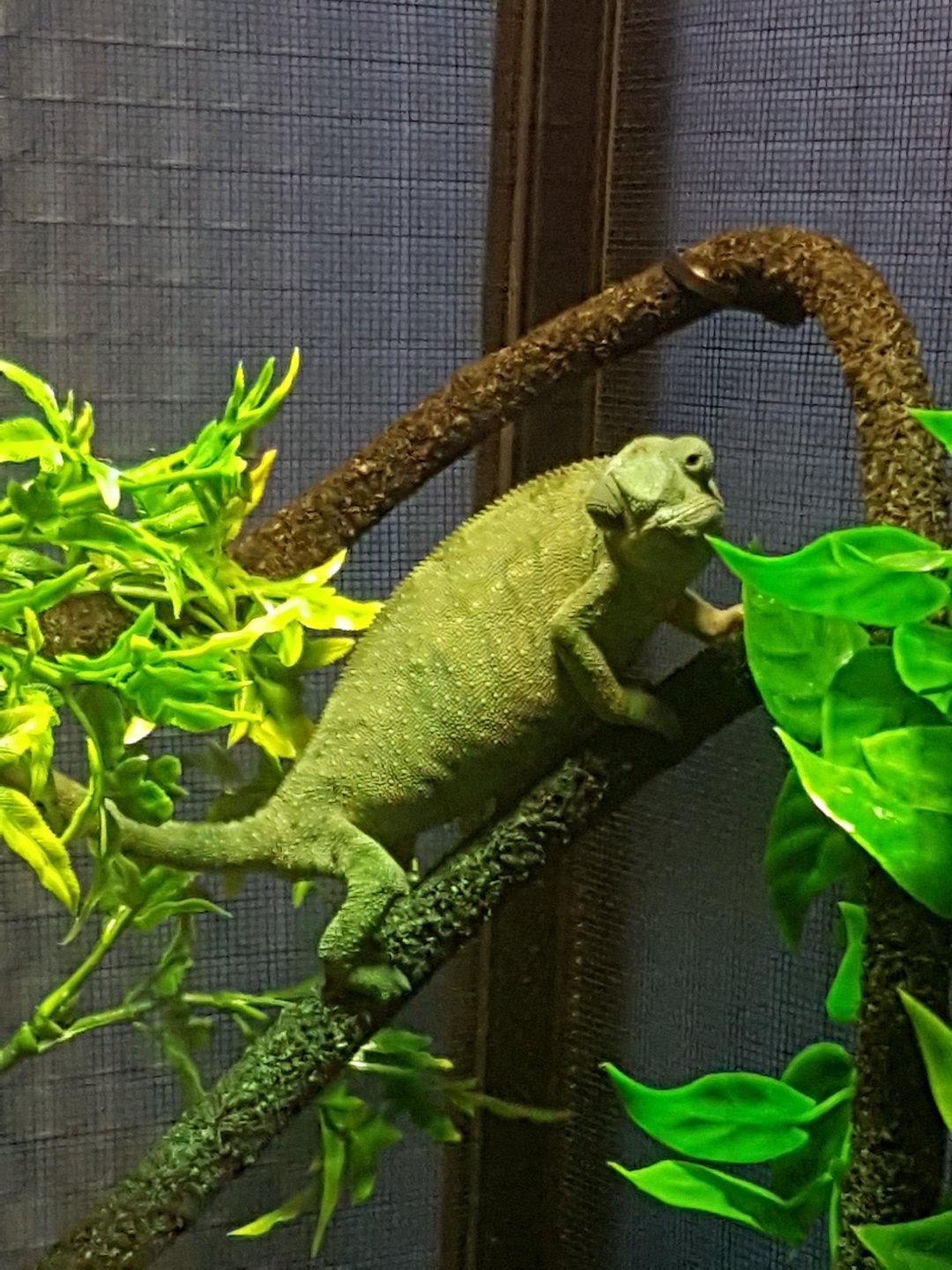 20170118_184057.jpg