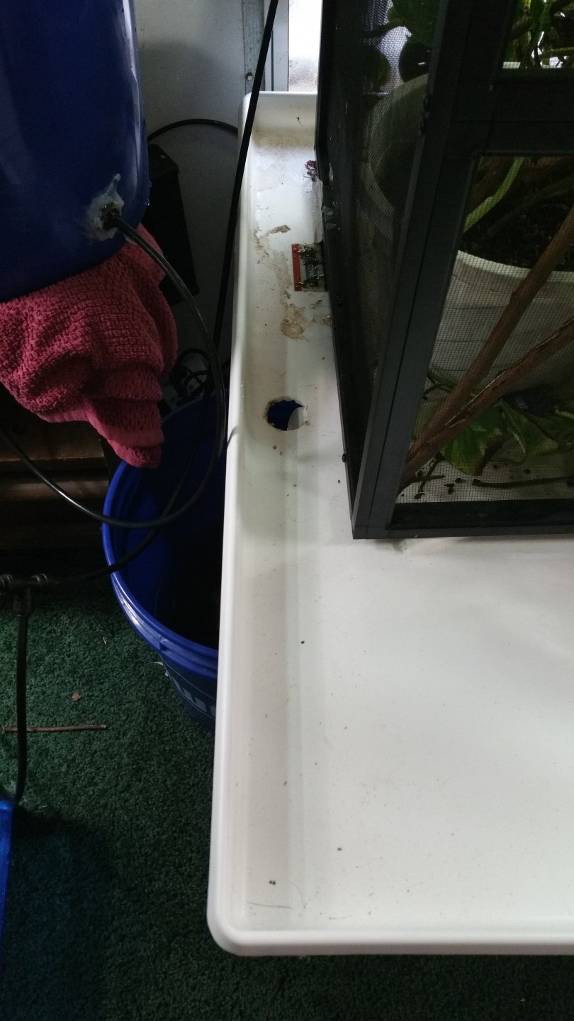 20170226_094212.jpg