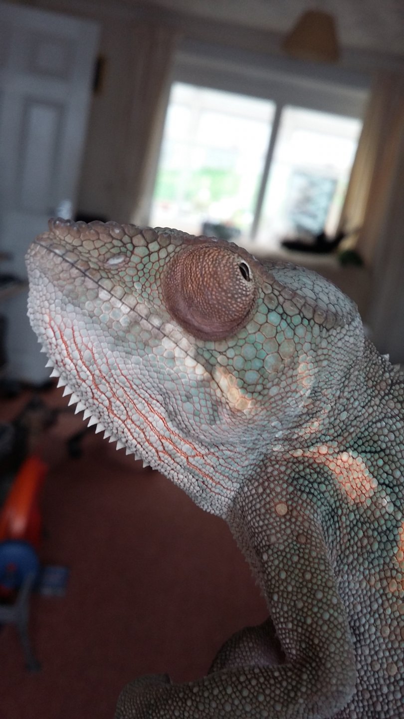 20170301_115231.jpg