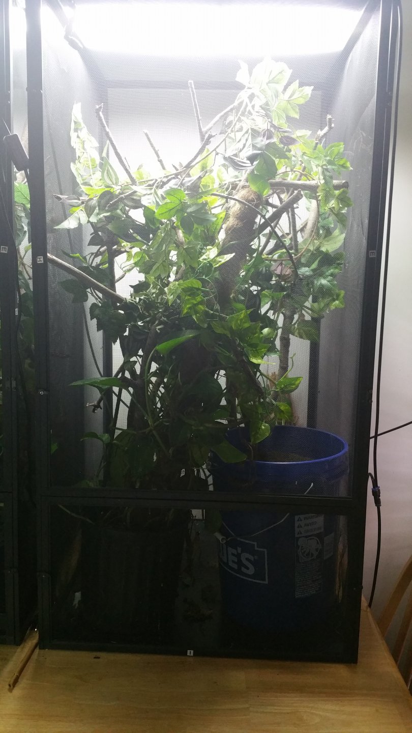 20170305_173055.jpg