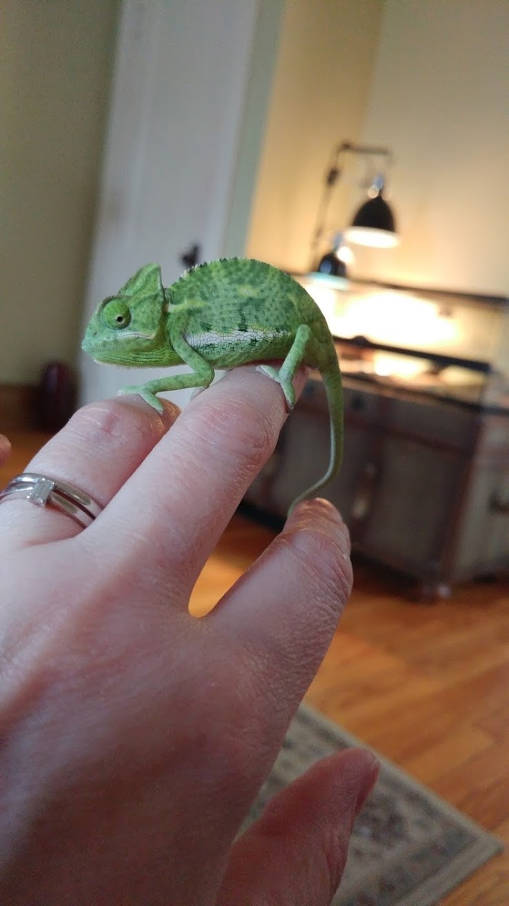20170309_115845-1.jpg