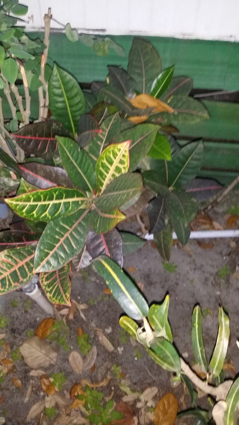 20170312_194405.jpg