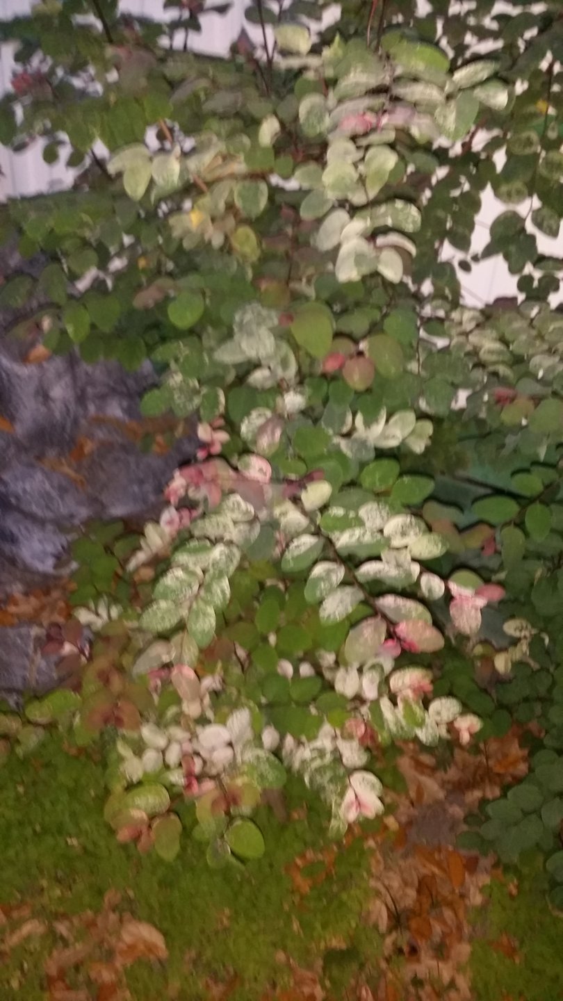 20170312_194414.jpg