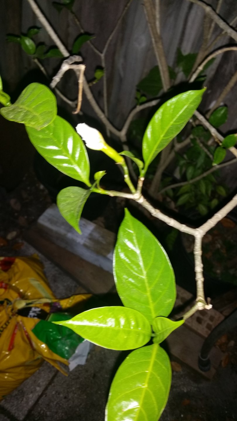 20170312_194433.jpg