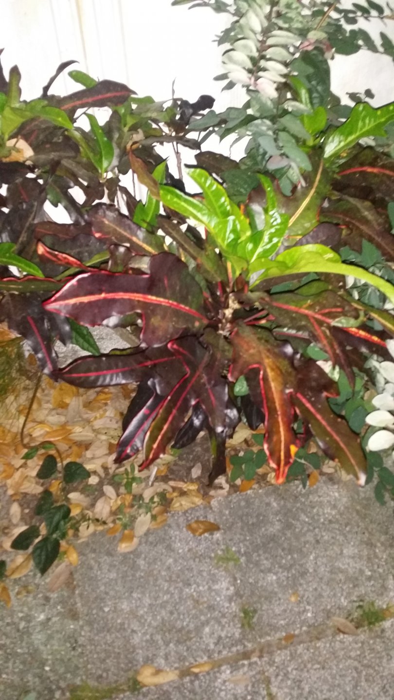 20170312_194446.jpg