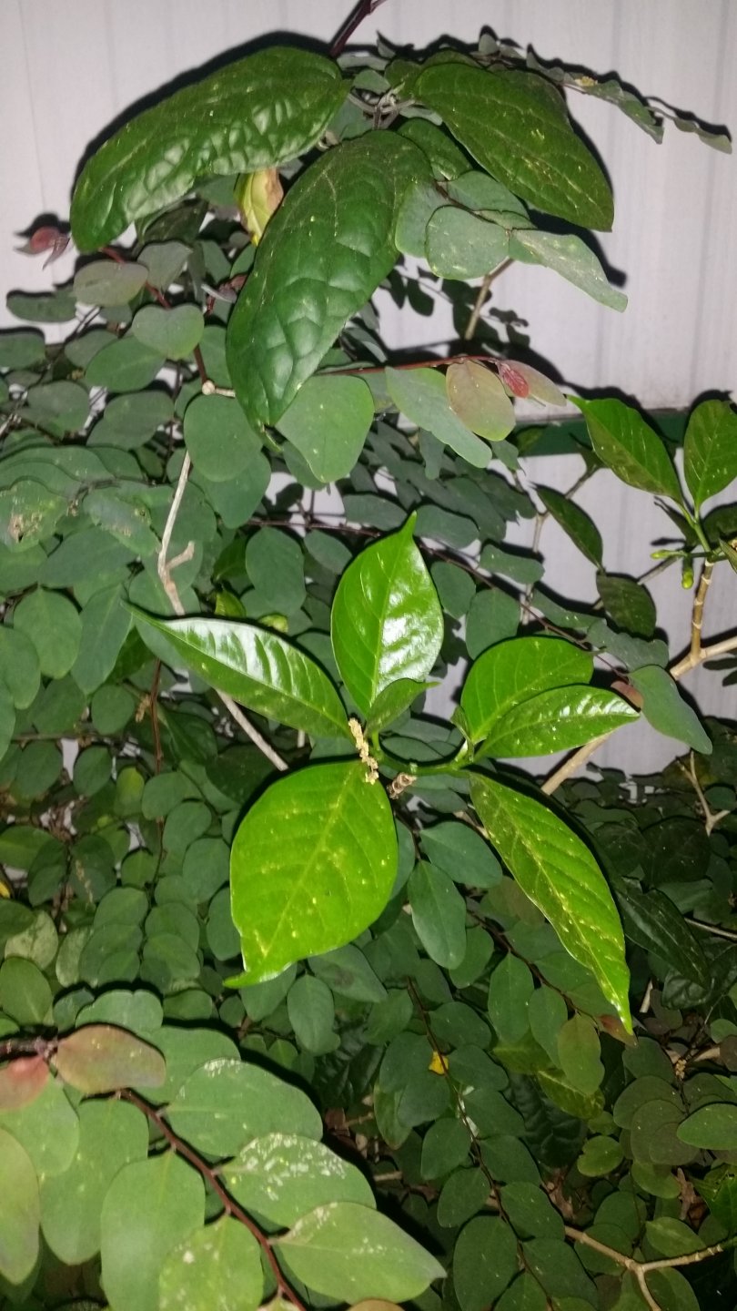 20170312_194507.jpg