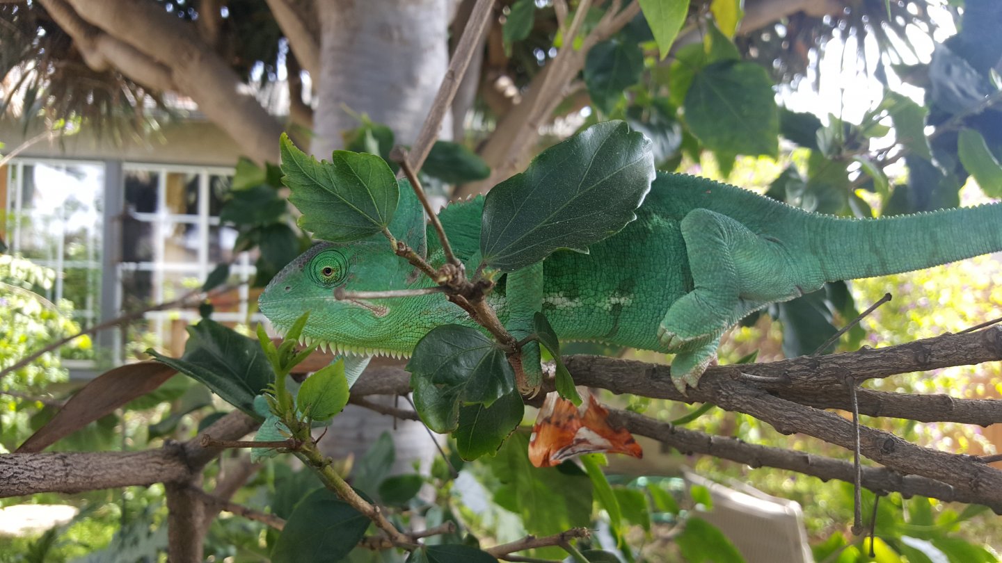 20170317_123758.jpg