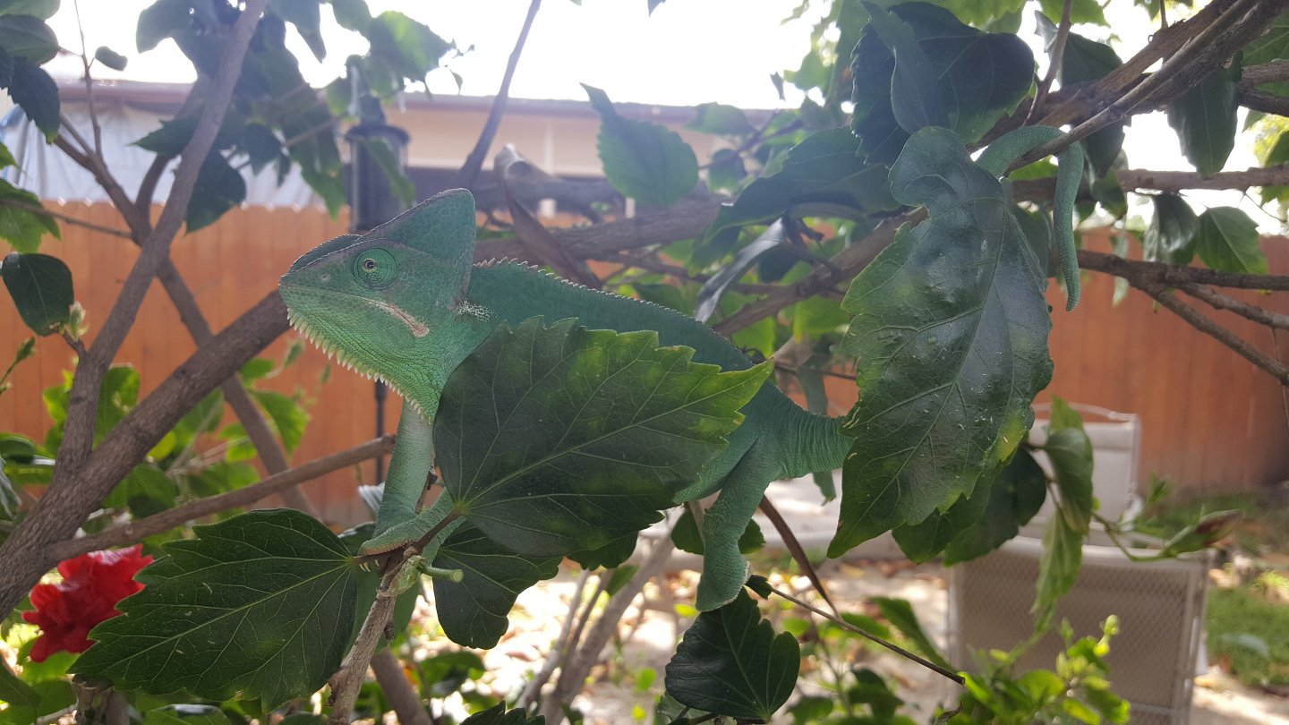 20170317_124118.jpg