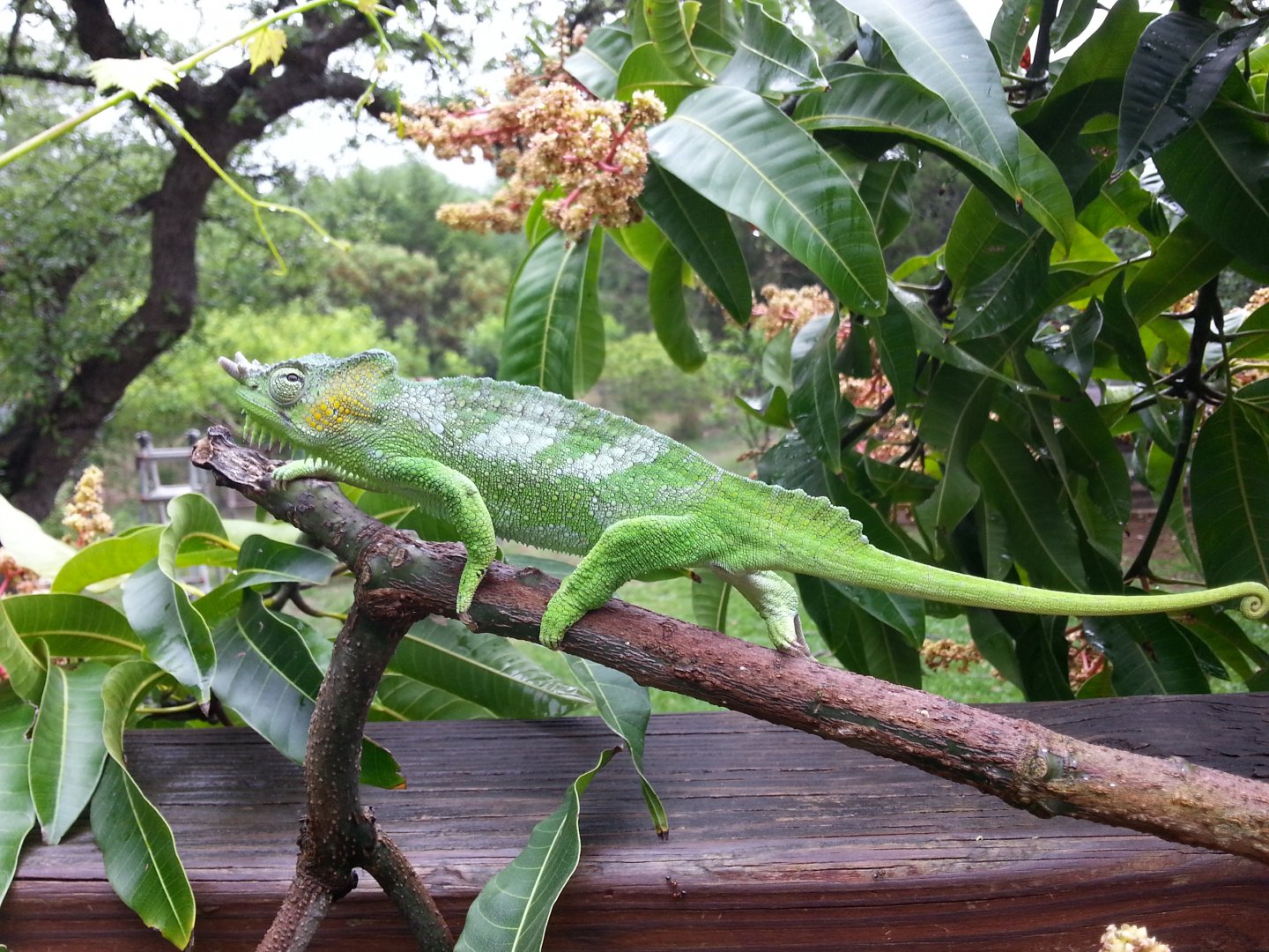 20170411_120725.jpg