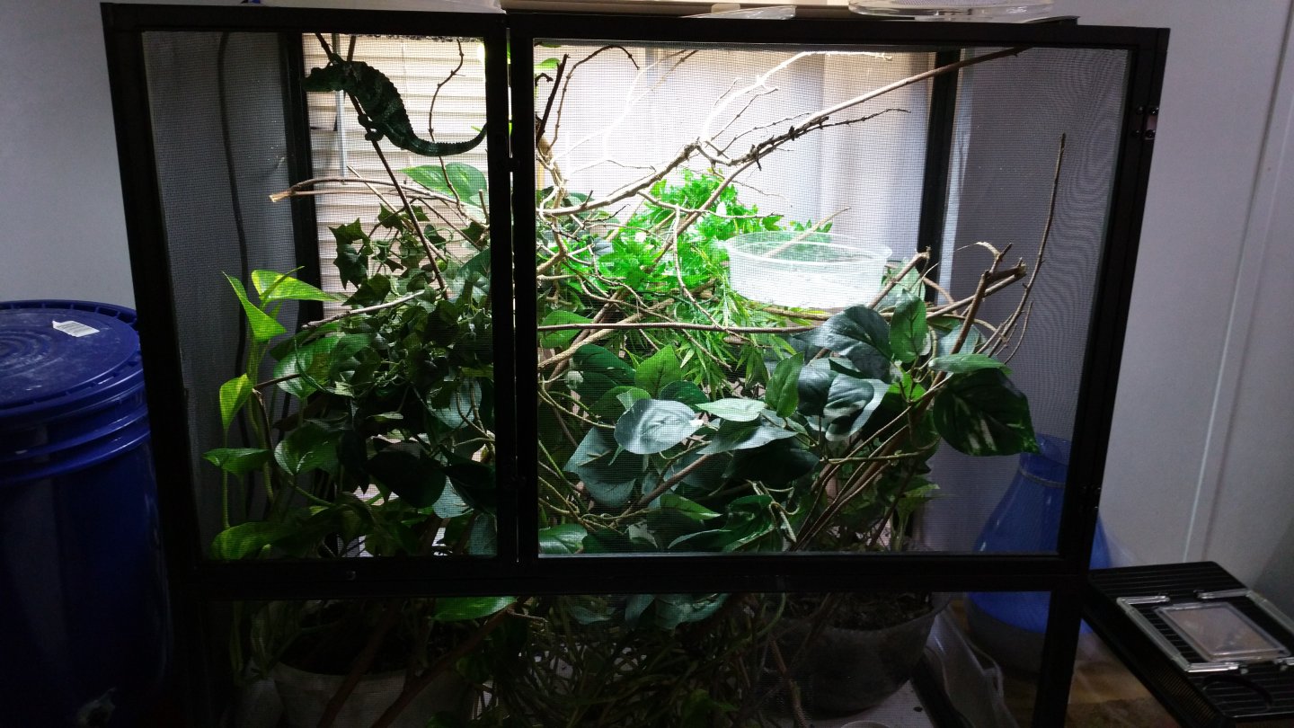 20170411_171303.jpg