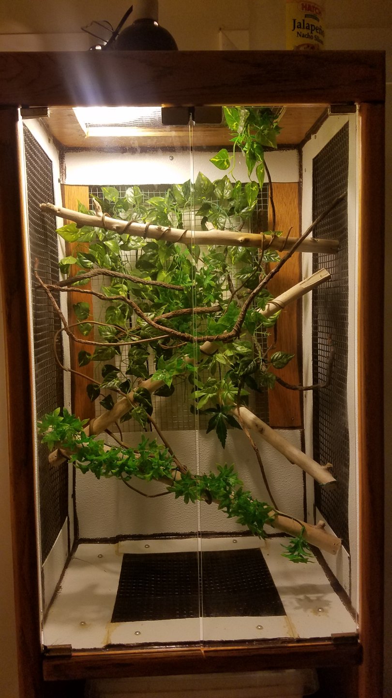 My new custom built cage! | Chameleon Forums