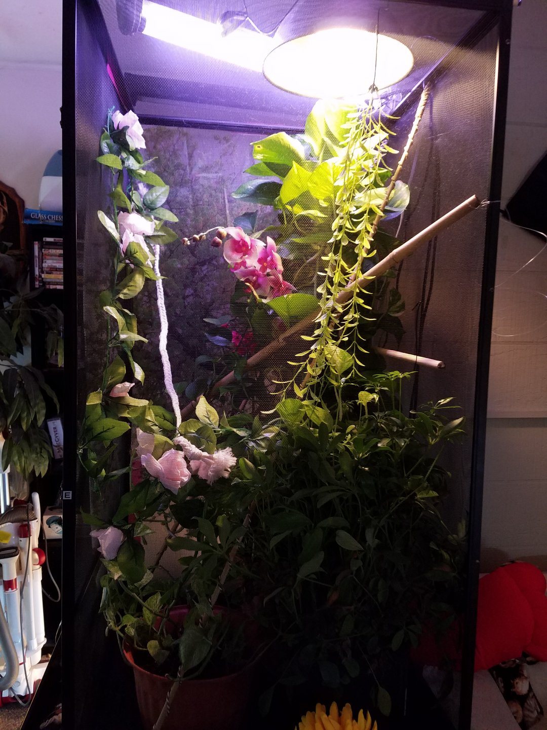 20170423_181745.jpg