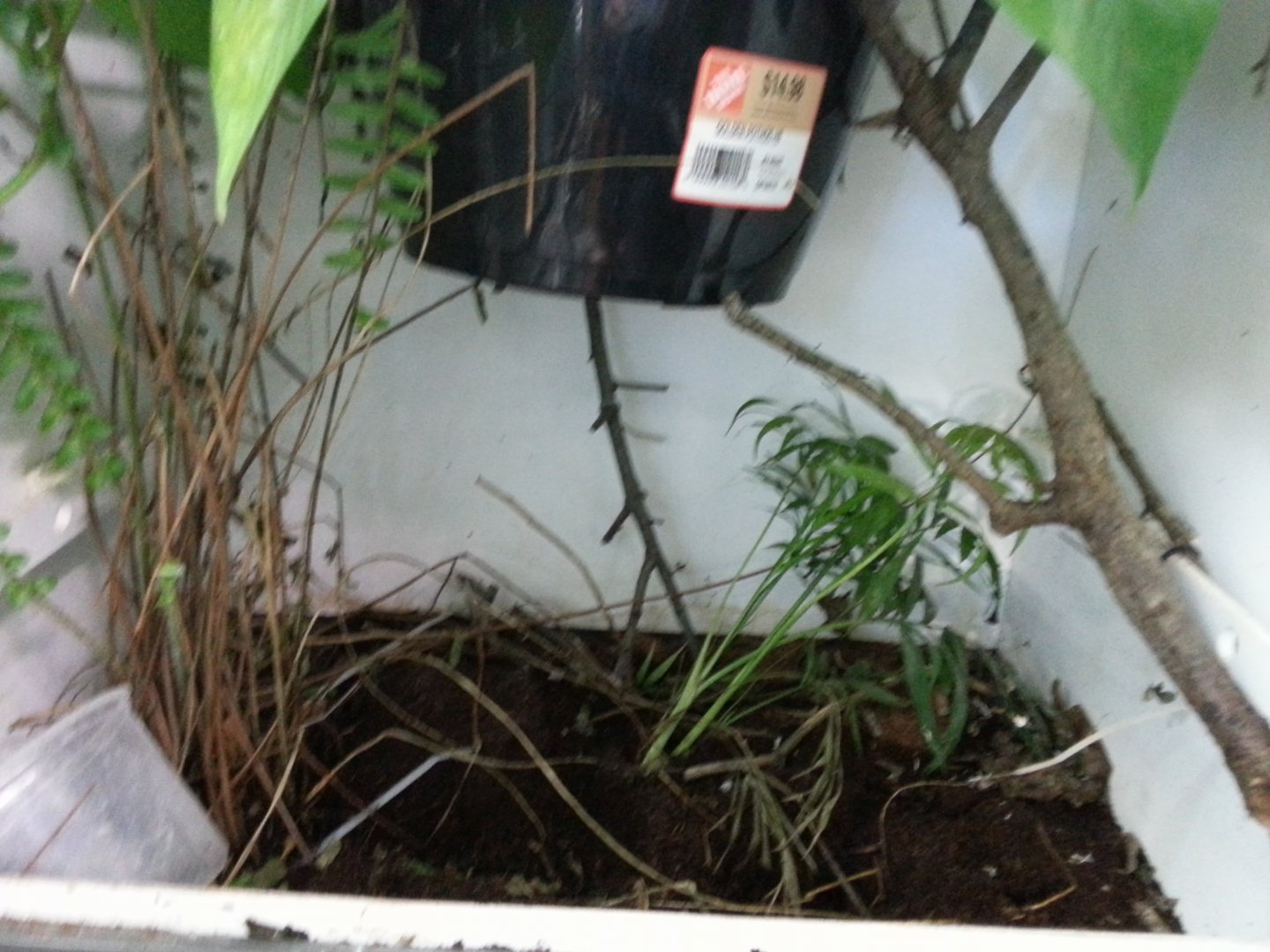 20170428_155252.jpg