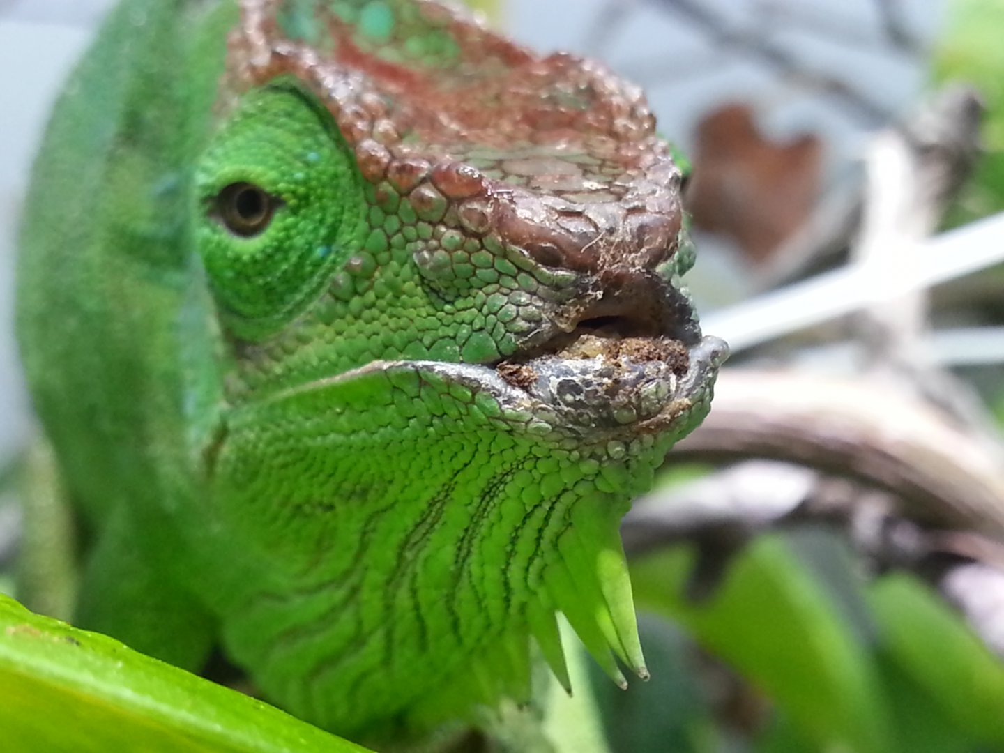 20170501_092106.jpg