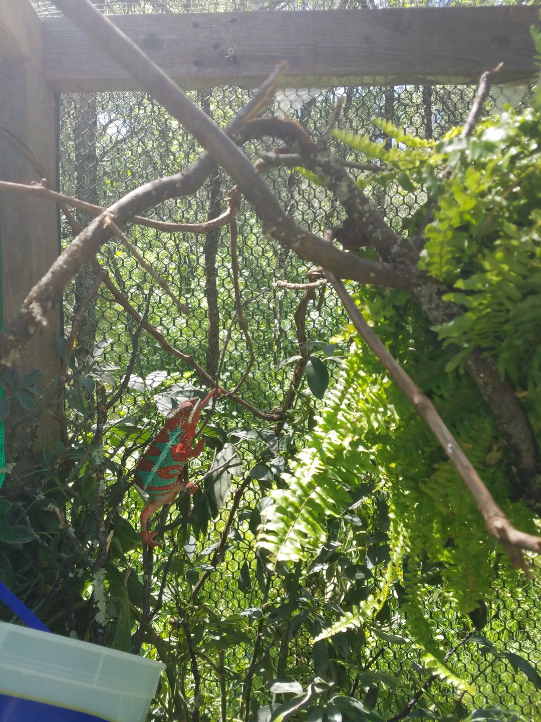 20170502_123126.jpg