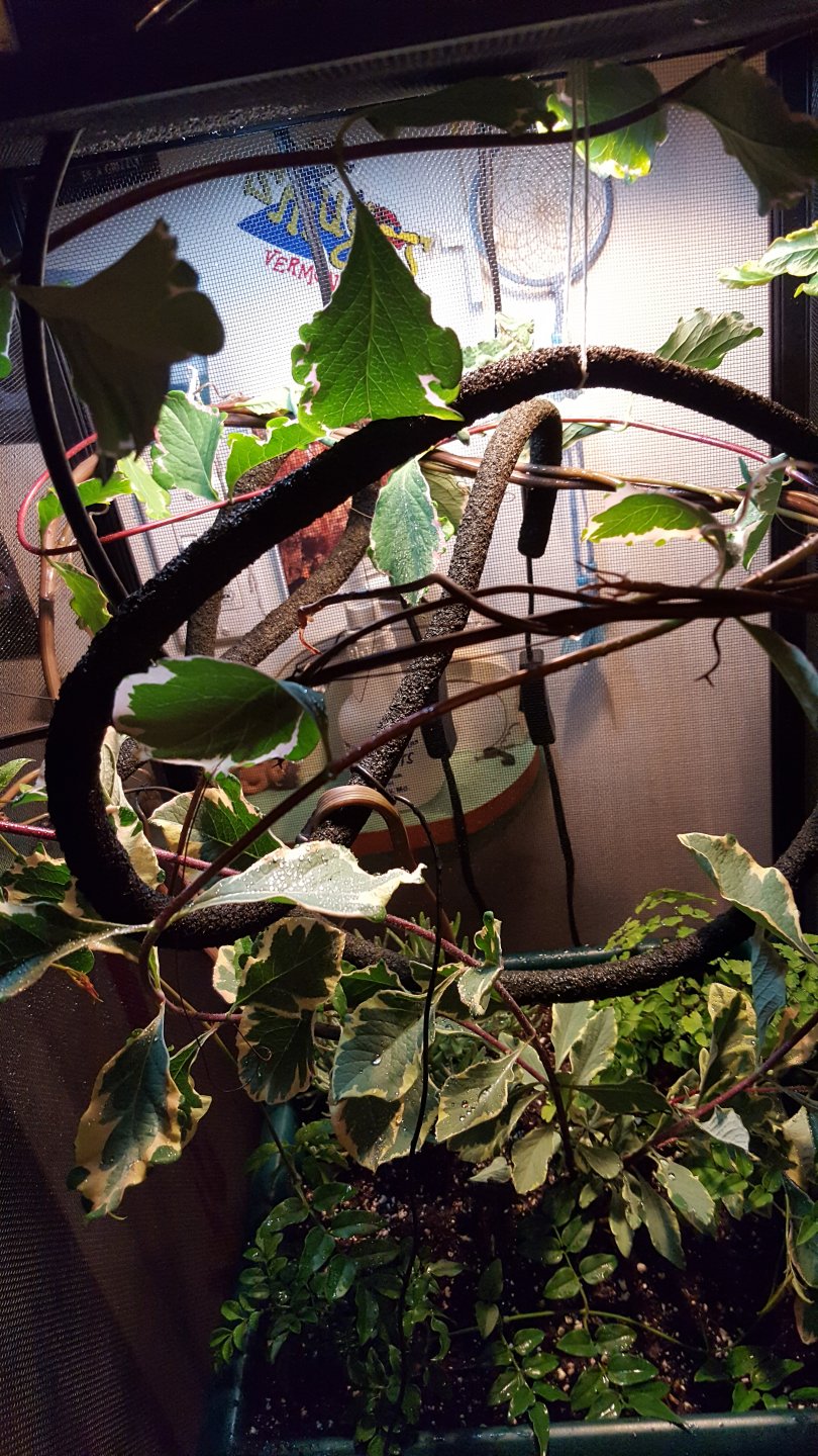 20170514_161029.jpg